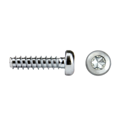 Tornillo rosca plástico RHS81P REMFORM®II "HS" cabeza alomada TORX®